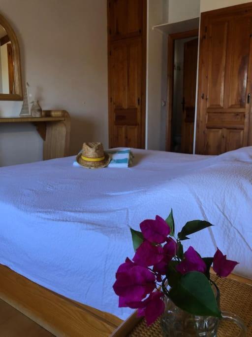 Lovely Appartment 'Solana' With Big Garden, Nice Pool テウラーダ エクステリア 写真